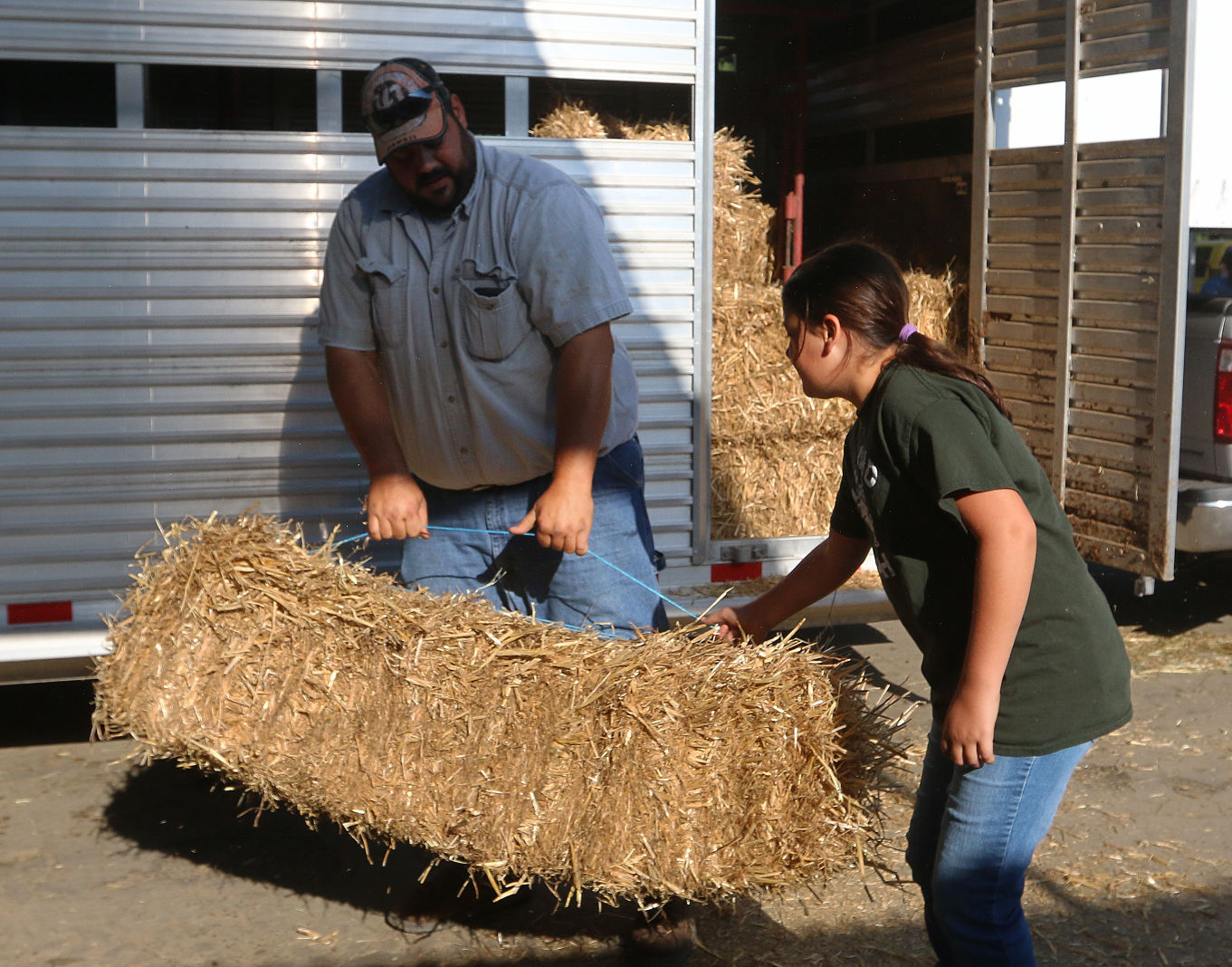 Kings Fair animal arrival